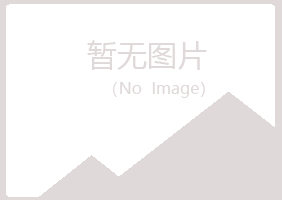 兴山区指望会计有限公司